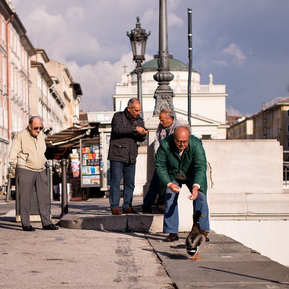 Mangia Germano, mangia