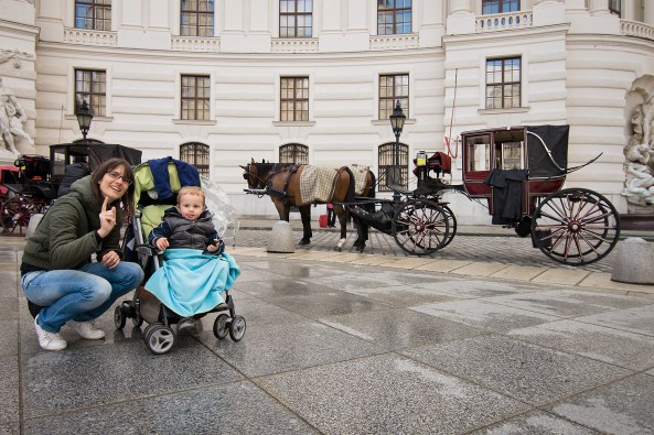 Carrozze e cavalli famigliari copia