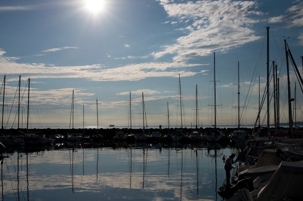 Curva d'alberi copia