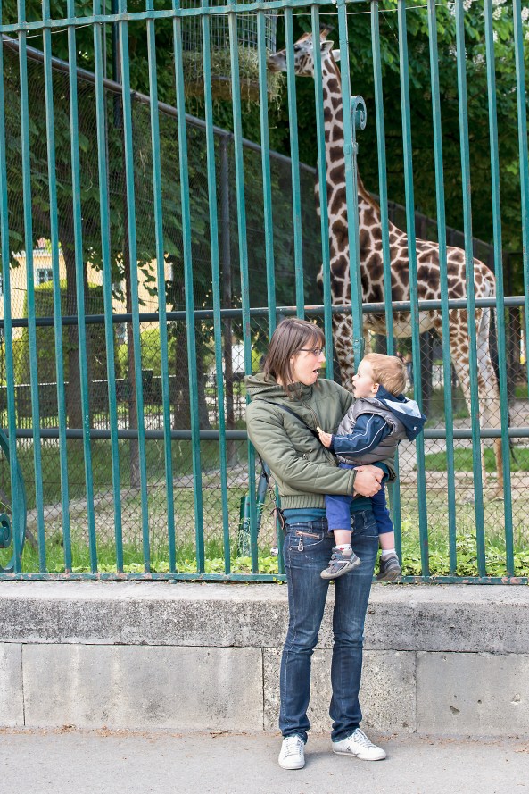 Matteo come fa la giraffa copia
