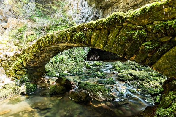 Il vecchio ponte copia