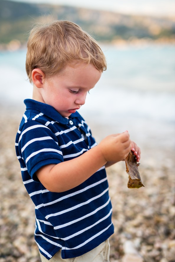 La foglia sulla spiaggia copia