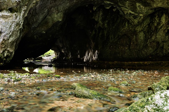 Sotto il mali most copia