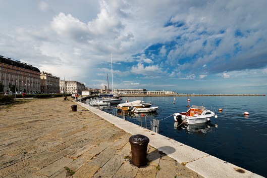 Le rive con le prime luci del mattino copia