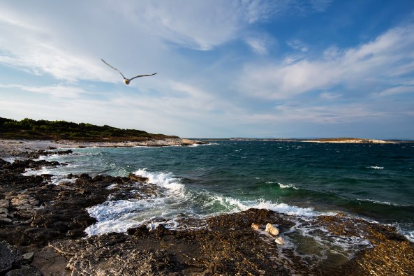 Skara-tempestosa-copia